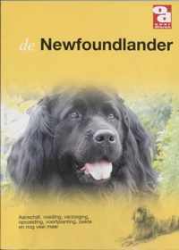 Newfoundlander