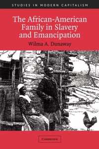 The African-American Family in Slavery and Emancipation