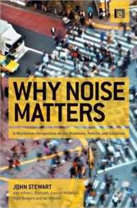 Why Noise Matters