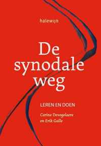 De synodale weg