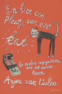 En hier een plaatje van een kat