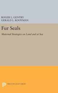 Fur Seals - Maternal Strategies on Land and at Sea