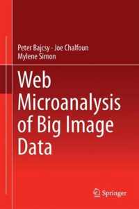 Web Microanalysis of Big Image Data