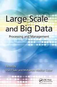 Large Scale and Big Data