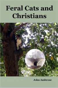 Feral Cats and Christians