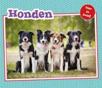 Dier in Huis  -   Honden