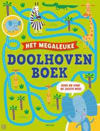 Het megaleuke doolhovenboek