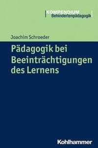 Padagogik Bei Beeintrachtigungen Des Lernens