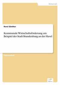 Kommunale Wirtschaftsfoerderung am Beispiel der Stadt Brandenburg an der Havel