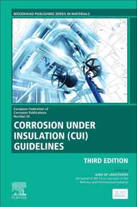 Corrosion Under Insulation (CUI) Guidelines