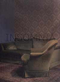 Insomnia - Annabel Oosteweeghel - Carlijn Vis - Paperback (9789462622746)