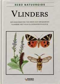 Vlinders