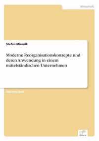 Moderne Reorganisationskonzepte und deren Anwendung in einem mittelstandischen Unternehmen