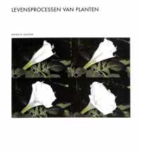 Levensprocessen van planten