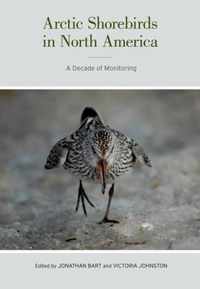 Arctic Shorebirds In North America