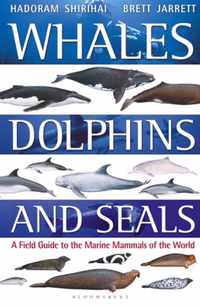 Whales, Dolphins and Seals