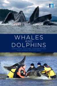 Whales and Dolphins