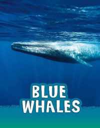 Blue Whales