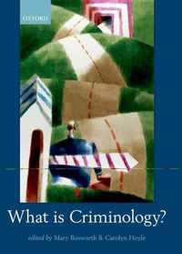 What Is Criminology?