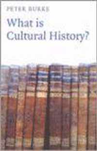 What is Cultural History?