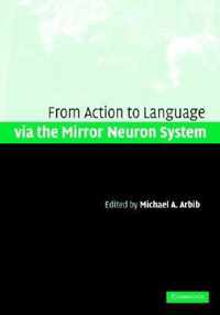 Action to Language Via the Mirror Neuron System