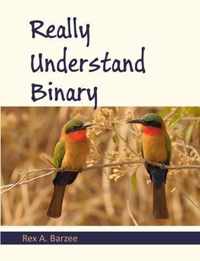 Really Understand Binary