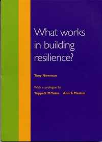 What Works in Building Resilience?