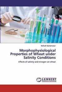 Morphophysiological Properties of Wheat under Salinity Conditions