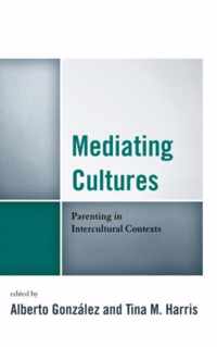 Mediating Cultures