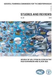 Review of Jellyfish Blooms in the Mediterranean and Black Sea