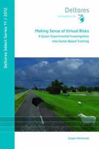 Making Sense of Virtual Risks