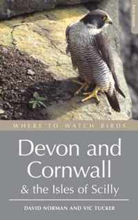 Where To Watch Birds In Devon & Cornwall