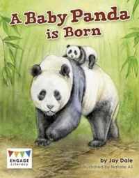 A Baby Panda is Born Engage Literacy Engage Literacy White