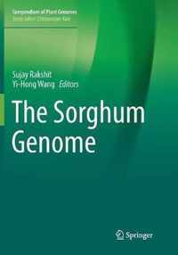 The Sorghum Genome