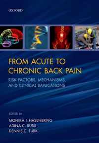 From Acute to Chronic Back Pain