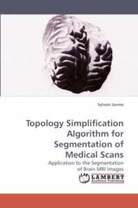 Topology Simplification Algorithm for Segmentation of Medical Scans