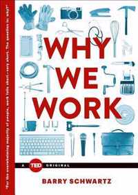 Why We Work