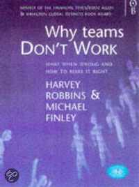 Why Teams Don't Work