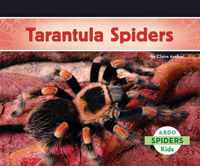 Tarantula Spiders