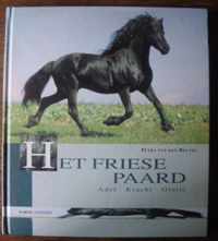 Friese Paard