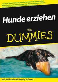 Hunde Erziehen Fur Fummies