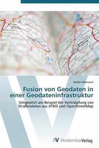 Fusion Von Geodaten in Einer Geodateninfrastruktur