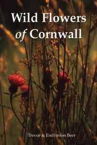 Wild Flowers of Cornwall