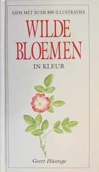 WILDE BLOEMEN IN KLEUR