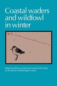 Coastal Waders and Wildfowl in Winter