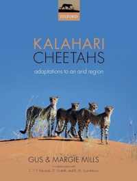 Kalahari Cheetahs