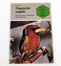 Tropische vogels