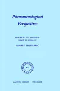 Phenomenological Perspectives