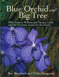 Blue Orchid & Big Tree