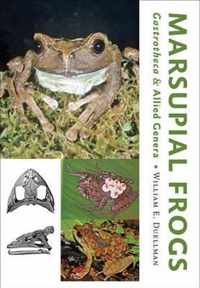 Marsupial Frogs - Gastrotheca and Allied Genera